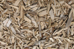 biomass boilers Rhilochan